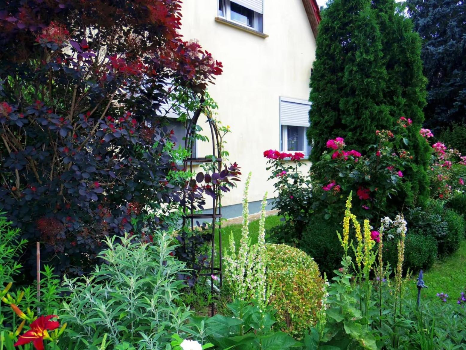 Apartment Im Blumengarten *