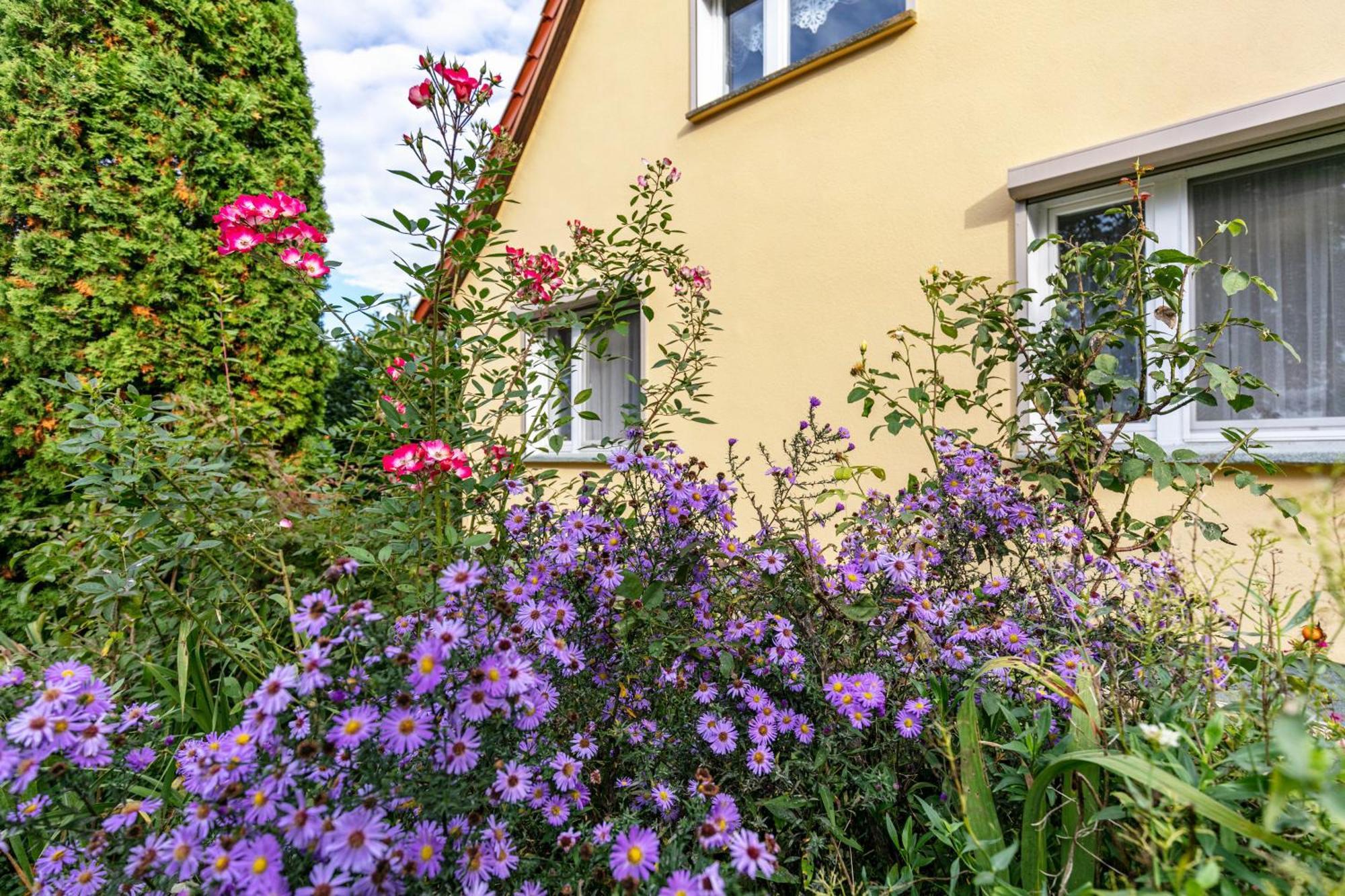 Apartment Im Blumengarten *